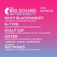 Gully Cat - Live At TBSA - 03.08.18
