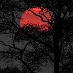 Tell me (Prod. Discent)