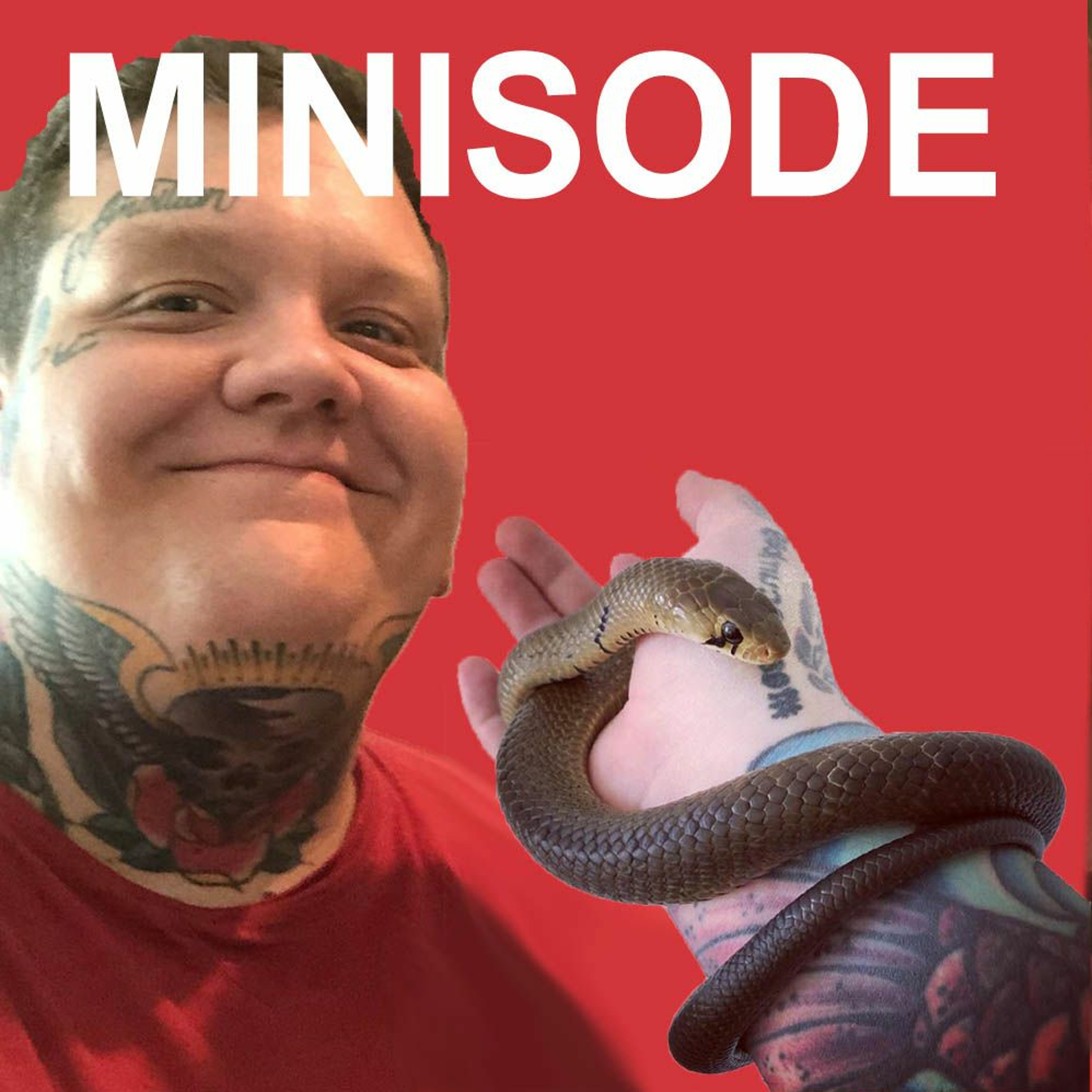 Modern Medusa Reptile Podcast - Where we talk everything cold-blooded (Snake Podcast)