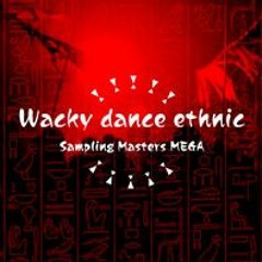 [グルーヴコースター 音源] Wacky dance ethnic - Sampling Masters MEGA