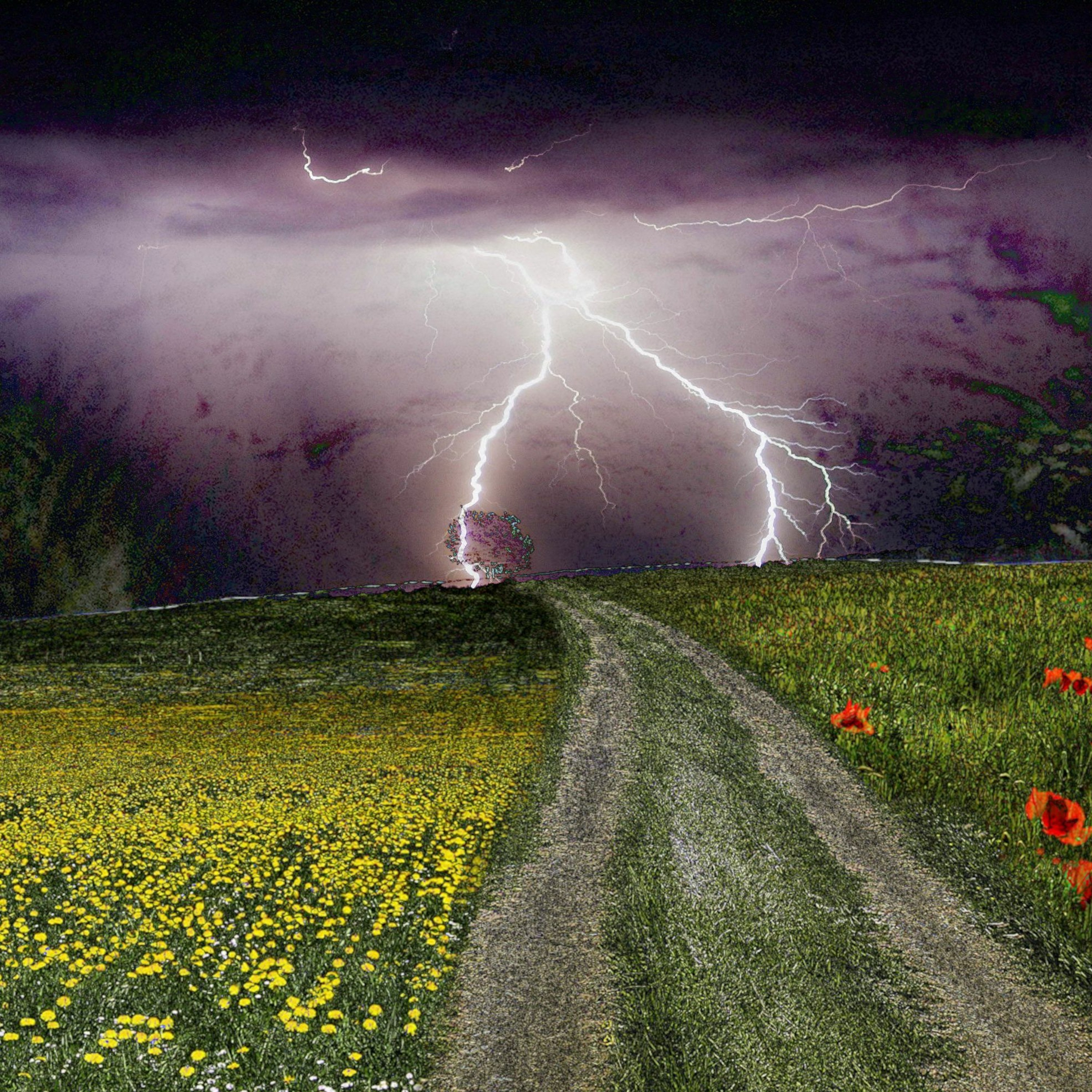 My Forgotten Path episode artwork