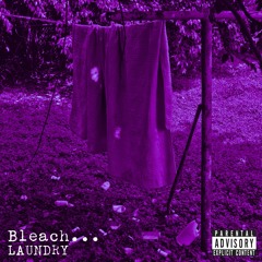 1. Laundry - Bleach...