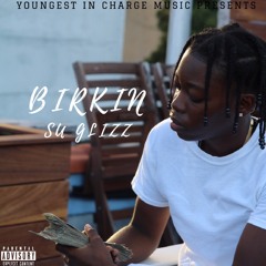 Birkin (Prod. Cash Money AP)