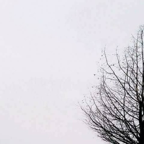 فَجَعَلْنَاهُ هَبَاءً مَنْثُورًا | محمود فضل