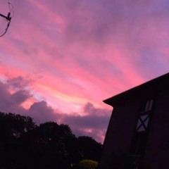 Everytime (A Brockhampton Tribute)