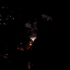 Thinking beyond the forest