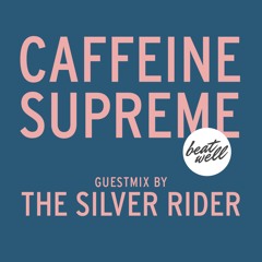 Vol. 11 - The Silver Rider