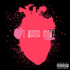 Zodeine - I Wanna Know - (ft. Big 4)