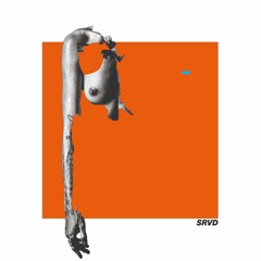 SRVD - Nasty