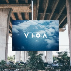 Tom Doolie - VIOA