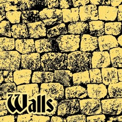 tominthechamber - 'Walls' (prod. tominthechamber)