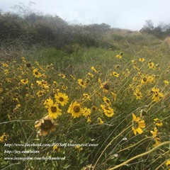 آيا شما هم به دستتون نخ بستين يادتون نره؟" 31 آگوست 2018"