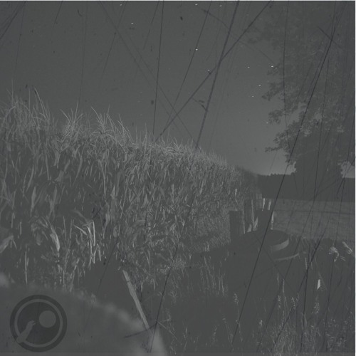Lost On Vast Fields, We Watched The Stars Together