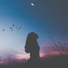 (untitled) Demo