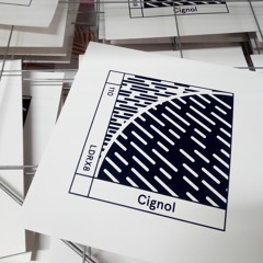 A2 Cignol - Program Shift