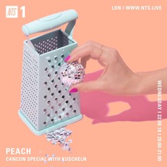 Peach 008 - CANCON Special w/ Kuscheln