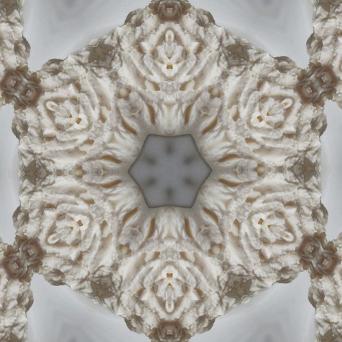 Synapsnschnaxla
