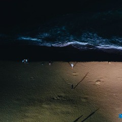 Swallow ocean - 기살어 에브리바디