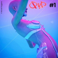 #1 - Drôle de France (fiction)