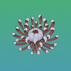 Zoldxx - Crise Anthem