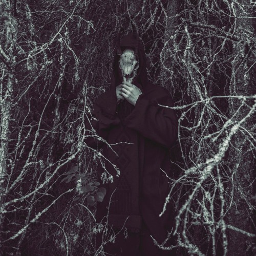 Ritual Of Noise - Beyond The Mind
