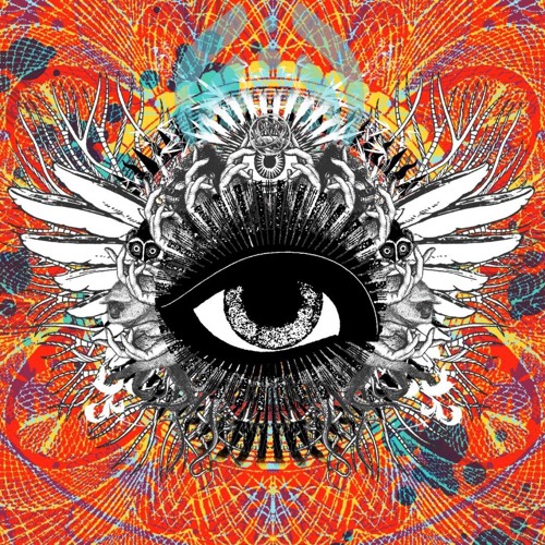 Reaching out (Bassnectar) x hold on (kill paris)