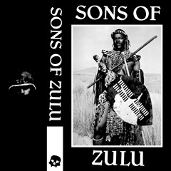 SONS OF ZULU (MASTER MIX CLIV)
