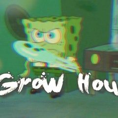 Grow House (Prod. Macstaccs)