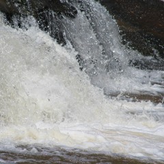 unisco (prod. Joe Salvador)