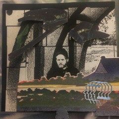 Birdcast 002: R.B.Kopie aka Kashual Plastik