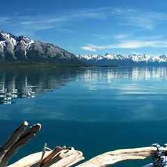 Cover | Amillionite - Sticky Fingers