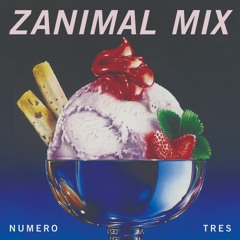 A ZANIMAL MIX: Numero Tres