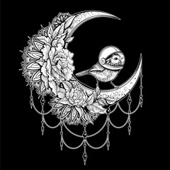 Adamantium Space Bird