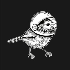 Rockets N Grey Skies