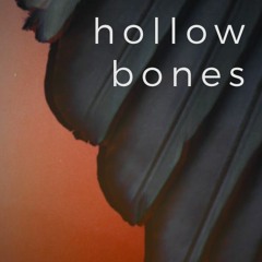 hollow bones