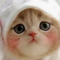 Nasib jadi jomblo slalu di buly