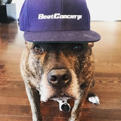 Beat Concierge Bloc Party Mix