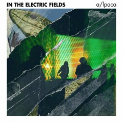 In the electric fields