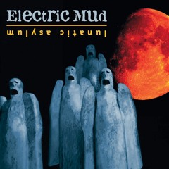 black dog (lunatic version)