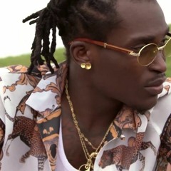 Lion P - No Disquette