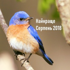 Найкраще Серпень 2018 \ Best August 2018