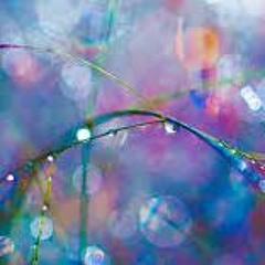 DEW OF TEARS -Myrh & ste rozza