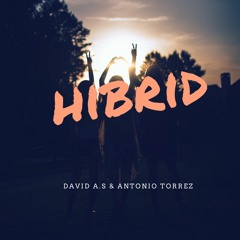 David A.s & Antonio torrez- Hibrid