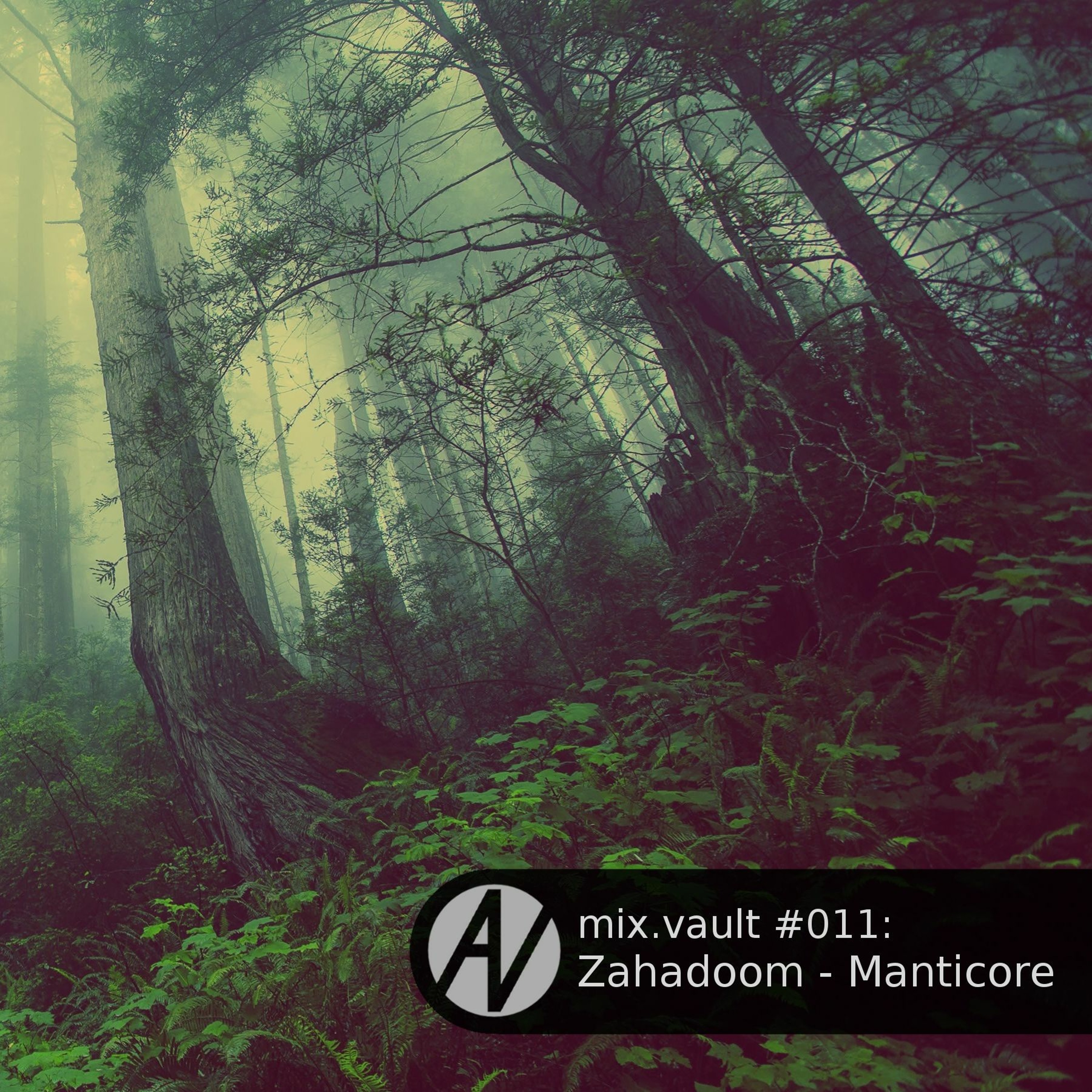 mix.vault
