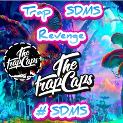 TRAP SDMS - Revenge (No Copyright)