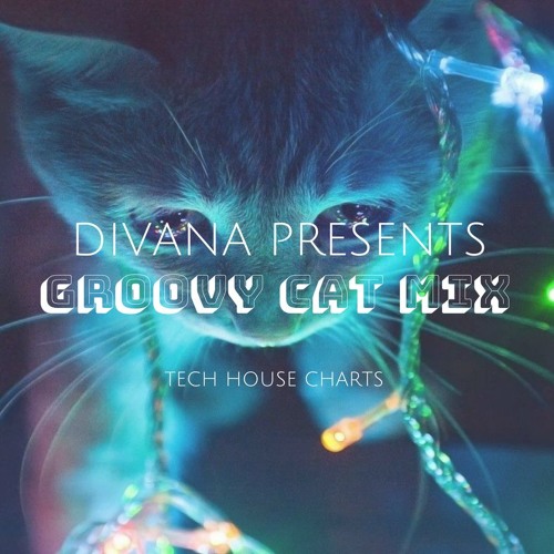 Groovy Cat (Mix)