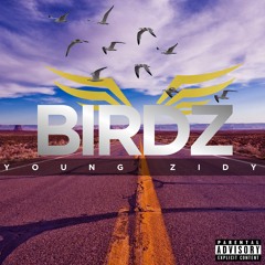 Birdz (Prod. by Cormill)