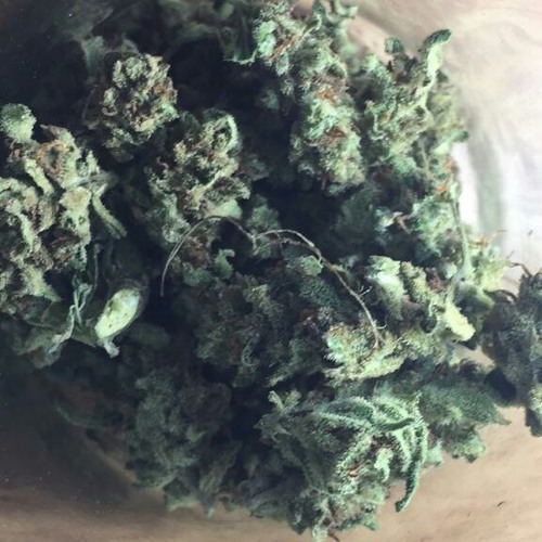 Copy of Hanging Tree (Beowülf _ JRDN Remix)