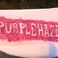 Purple Haze