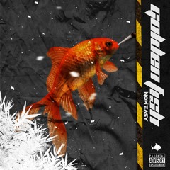 Golden Fish (Prod. by Fly Melodies)
